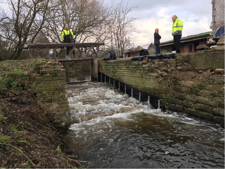 The completed works at Hithermoor Weir have enabled eels and coarse fish, such as roach, chub and bream, to once again migrate up and down the River Colne