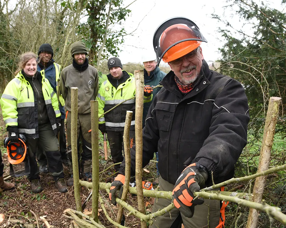 Teaching traditional hedgelaying skills at Priory Meadow