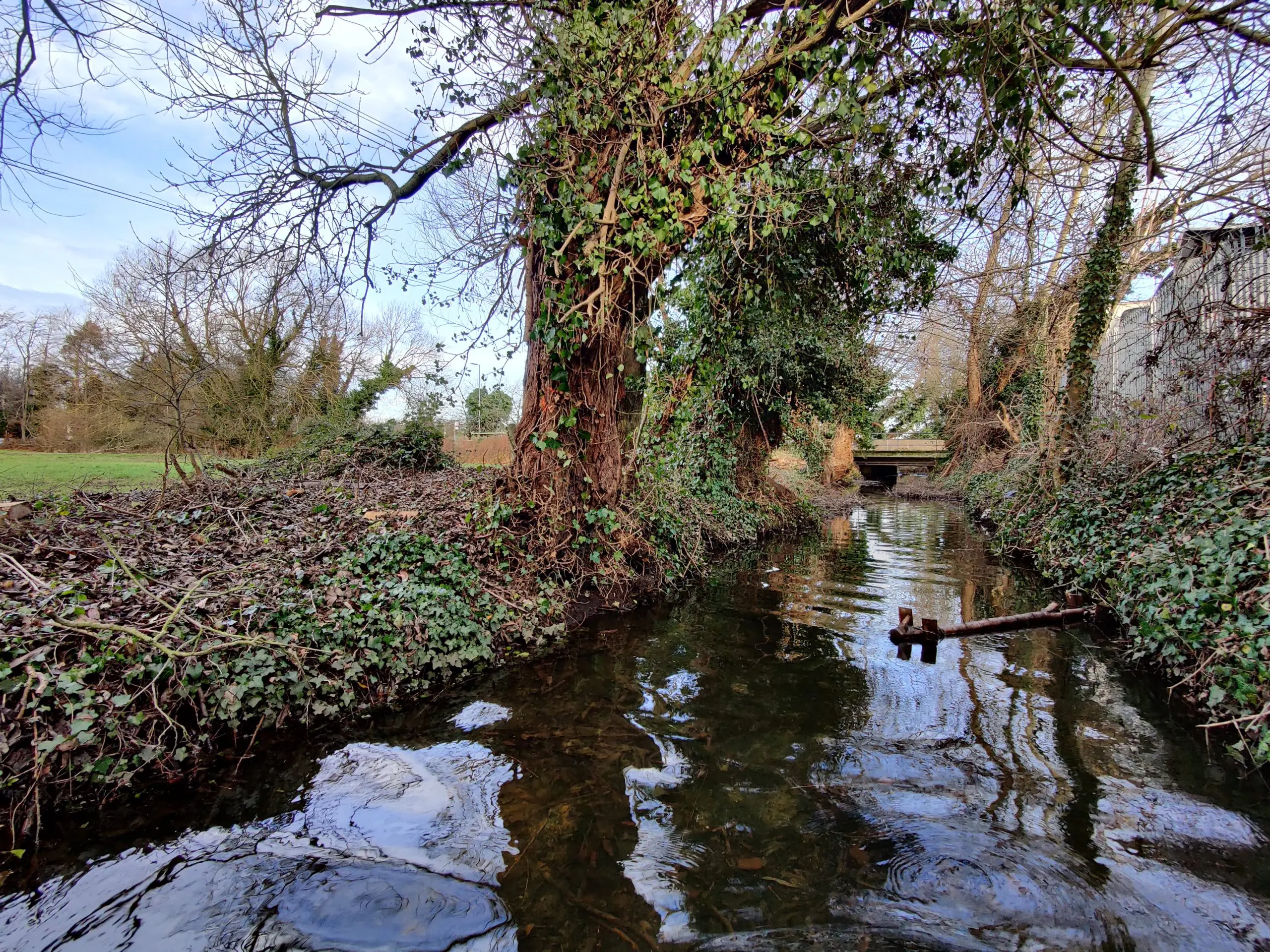 Thanks to a volunteer-led restoration project, Horton Brook is now visible to Crown Meadow residents for the first time in many years.