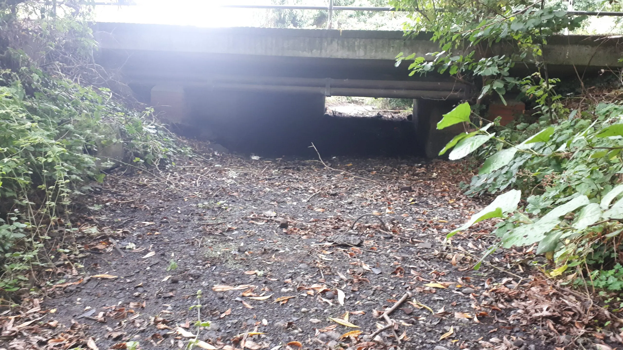 The brook, which borders Crown Meadow in the south of Colne Valley Regional Park, dried up for the first time in 2019.