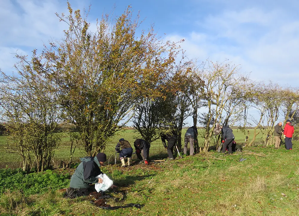 Volunteers get to grips with tree planting at Warwick Spinney. Photo credit: Benson Nature Group