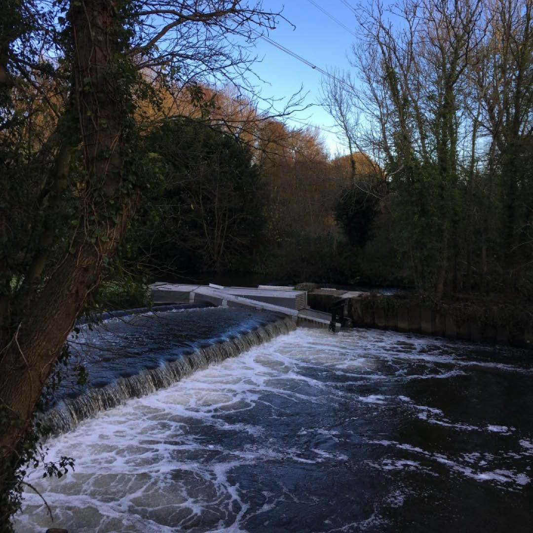 To ensure the eels and fish could transverse the weir at Colne Valley Regional Park, a simple and effective modular Eel & Fish Pass was installed.